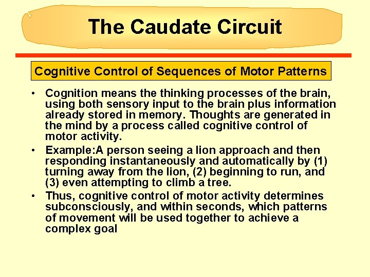 The Caudate Circuit Cognitive Control of Sequences of Motor Patterns • Cognition means the The Caudate Circuit Cognitive Control of Sequences of Motor Patterns • Cognition means the