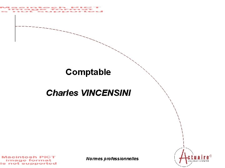Comptable Charles VINCENSINI Normes professionnelles 