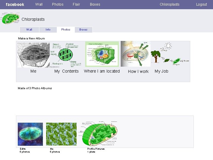 facebook Wall Photos Flair Boxes Chloroplasts Wall Info Photos Boxes Make a New Album