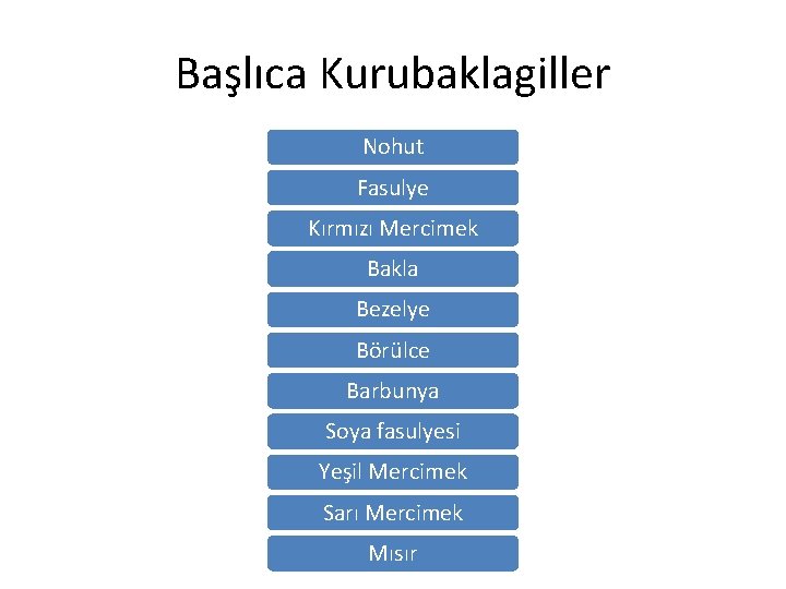 Başlıca Kurubaklagiller Nohut Fasulye Kırmızı Mercimek Bakla Bezelye Börülce Barbunya Soya fasulyesi Yeşil Mercimek