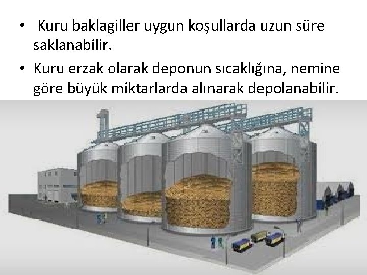  • Kuru baklagiller uygun koşullarda uzun süre saklanabilir. • Kuru erzak olarak deponun