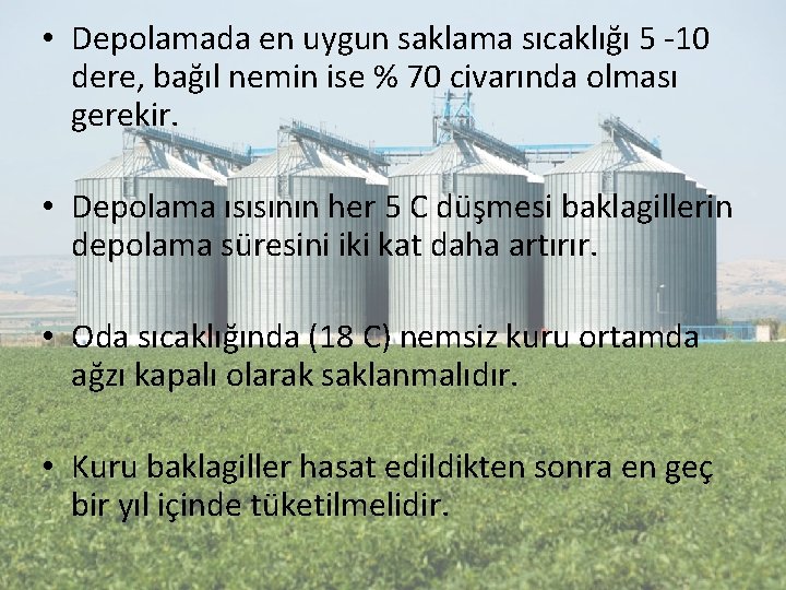  • Depolamada en uygun saklama sıcaklığı 5 -10 dere, bağıl nemin ise %