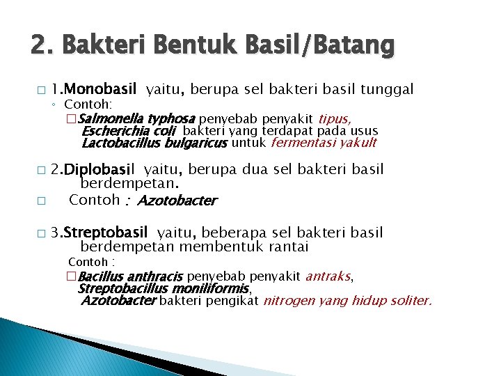 2. Bakteri Bentuk Basil/Batang � 1. Monobasil yaitu, berupa sel bakteri basil tunggal ◦