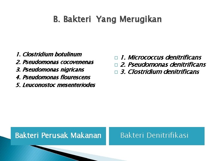 B. Bakteri Yang Merugikan 1. Clostridium botulinum 2. Pseudomonas cocovenenas 3. Pseudomonas nigricans 4.