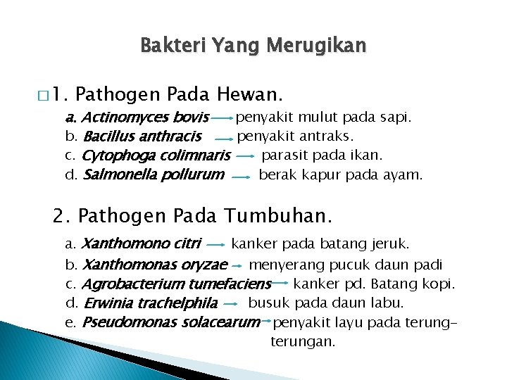 Bakteri Yang Merugikan � 1. Pathogen Pada Hewan. a. Actinomyces bovis penyakit mulut pada