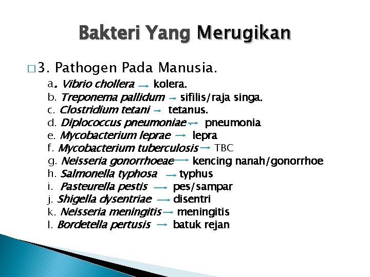 Bakteri Yang Merugikan � 3. Pathogen Pada Manusia. a. Vibrio chollera kolera. b. Treponema