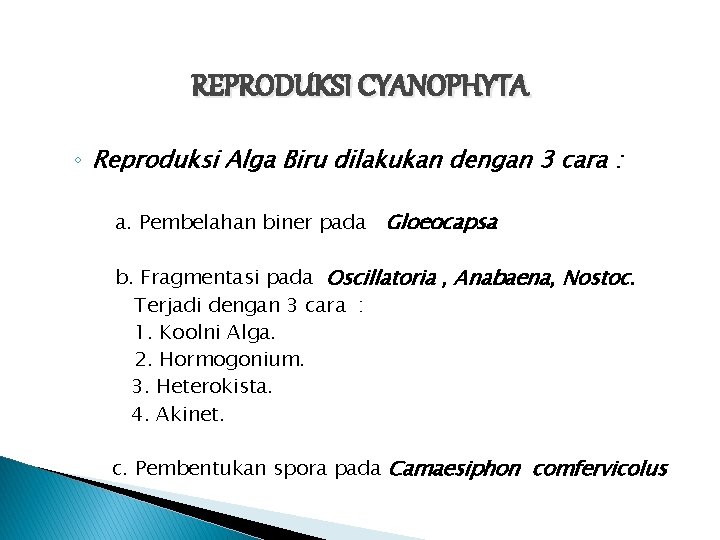 REPRODUKSI CYANOPHYTA ◦ Reproduksi Alga Biru dilakukan dengan 3 cara : a. Pembelahan biner