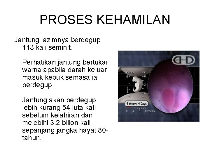 PROSES KEHAMILAN Jantung lazimnya berdegup 113 kali seminit. Perhatikan jantung bertukar warna apabila darah