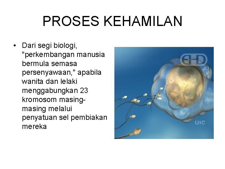 PROSES KEHAMILAN • Dari segi biologi, "perkembangan manusia bermula semasa persenyawaan, " apabila wanita