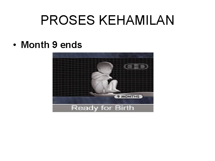 PROSES KEHAMILAN • Month 9 ends 