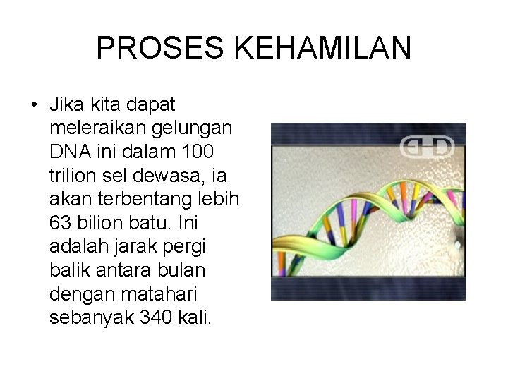 PROSES KEHAMILAN • Jika kita dapat meleraikan gelungan DNA ini dalam 100 trilion sel