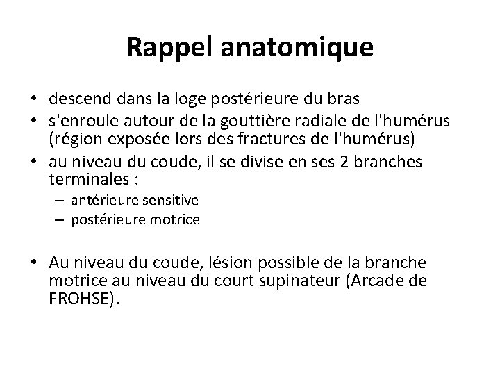 Rappel anatomique • descend dans la loge postérieure du bras • s'enroule autour de