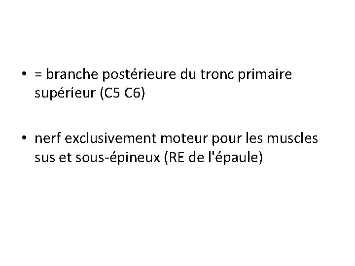  • = branche postérieure du tronc primaire supérieur (C 5 C 6) •