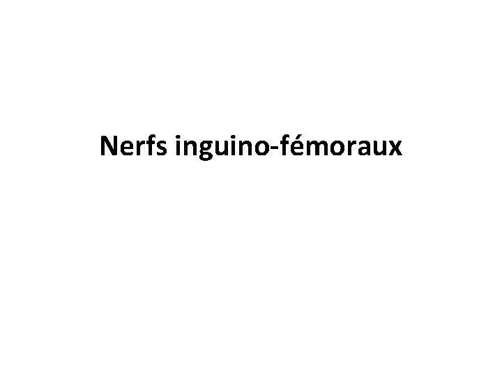 Nerfs inguino-fémoraux 