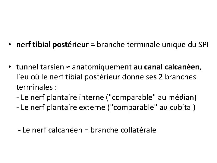  • nerf tibial postérieur = branche terminale unique du SPI • tunnel tarsien