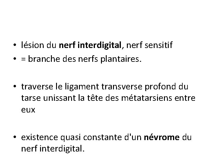  • lésion du nerf interdigital, nerf sensitif • = branche des nerfs plantaires.