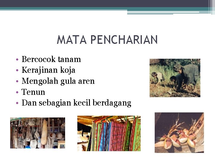 MATA PENCHARIAN • • • Bercocok tanam Kerajinan koja Mengolah gula aren Tenun Dan