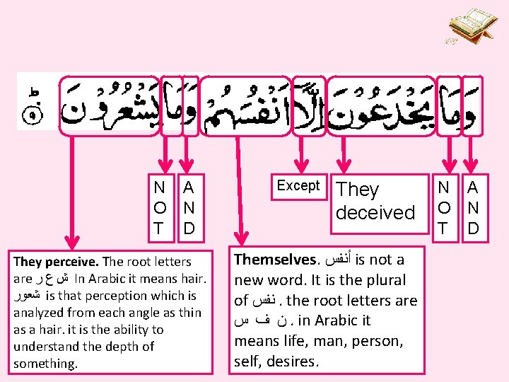 N A O N T D They perceive. The root letters are ﺵ ﻉ