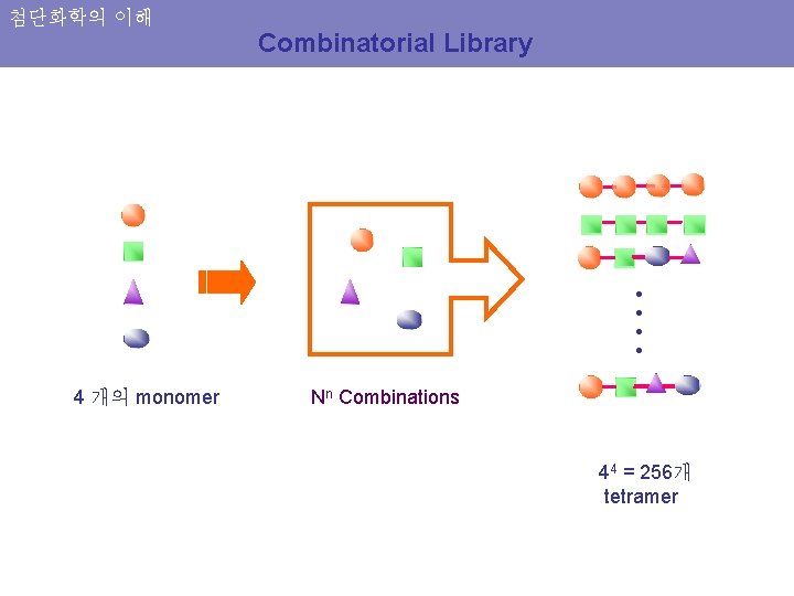 첨단화학의 이해 Combinatorial Library • • 4 개의 monomer Nn Combinations 44 = 256개