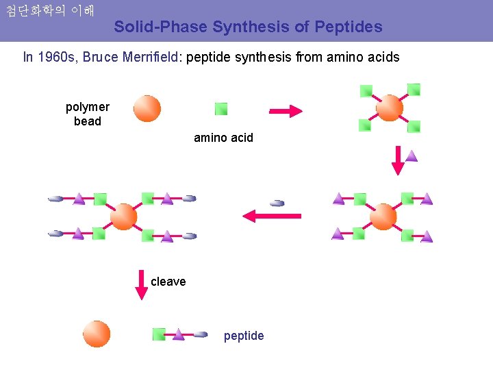 첨단화학의 이해 Solid-Phase Synthesis of Peptides In 1960 s, Bruce Merrifield: peptide synthesis from
