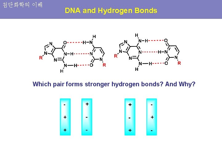 첨단화학의 이해 DNA and Hydrogen Bonds Which pair forms stronger hydrogen bonds? And Why?