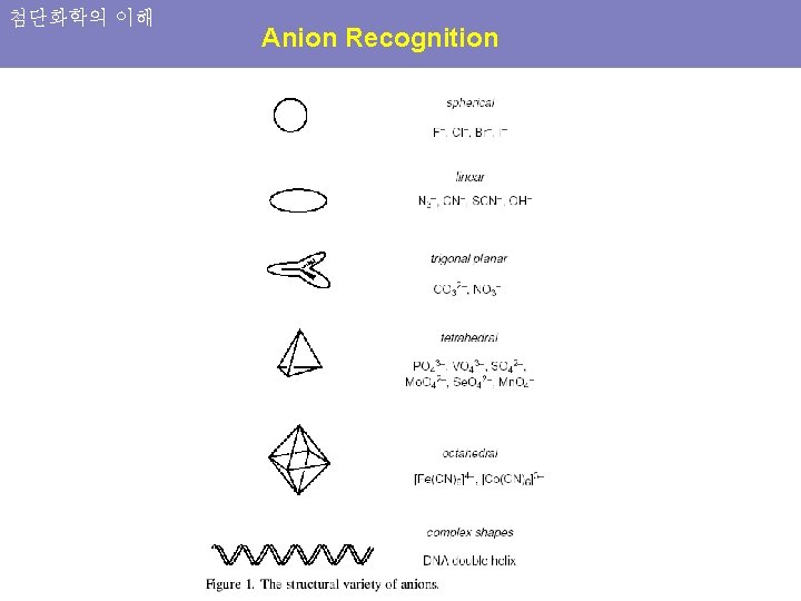 첨단화학의 이해 Anion Recognition 