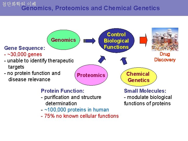 첨단화학의 이해 Genomics, Proteomics and Chemical Genetics Genomics Control Biological Functions Gene Sequence: -