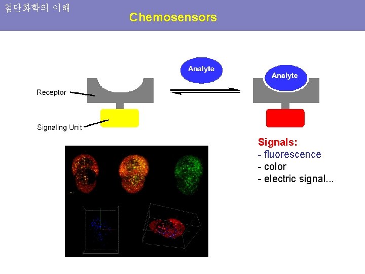 첨단화학의 이해 Chemosensors Signals: - fluorescence - color - electric signal. . . 