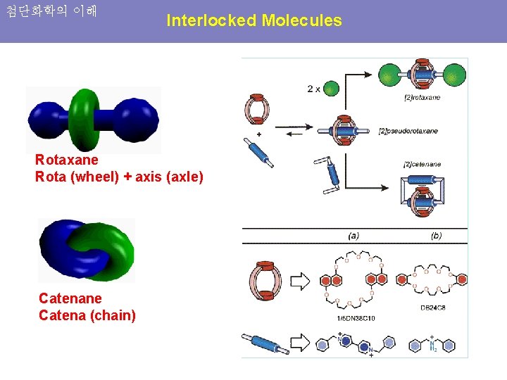 첨단화학의 이해 Interlocked Molecules Rotaxane Rota (wheel) + axis (axle) Catenane Catena (chain) 