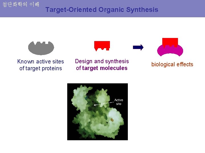 첨단화학의 이해 Target-Oriented Organic Synthesis Known active sites of target proteins Design and synthesis