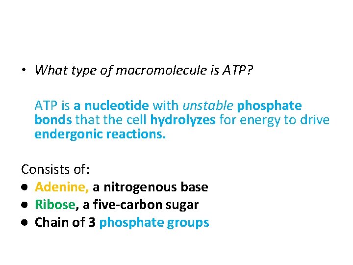  • What type of macromolecule is ATP? ATP is a nucleotide with unstable