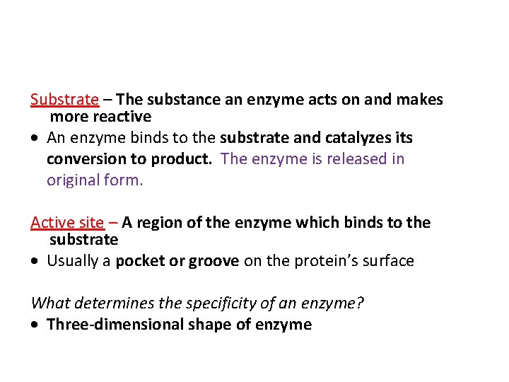 Substrate – The substance an enzyme acts on and makes more reactive An enzyme