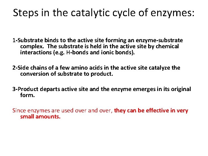 Steps in the catalytic cycle of enzymes: 1 -Substrate binds to the active site
