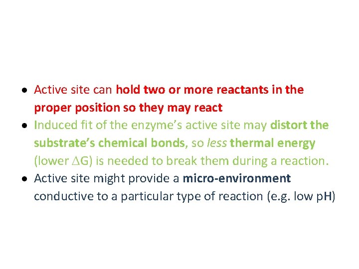  Active site can hold two or more reactants in the proper position so