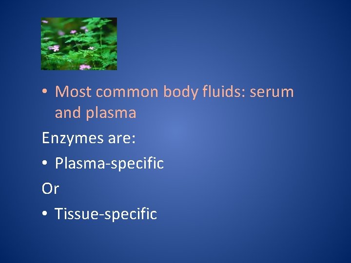  • Most common body fluids: serum and plasma Enzymes are: • Plasma-specific Or