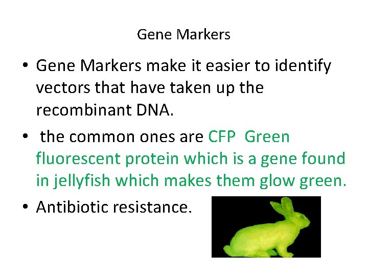 Gene Markers • Gene Markers make it easier to identify vectors that have taken