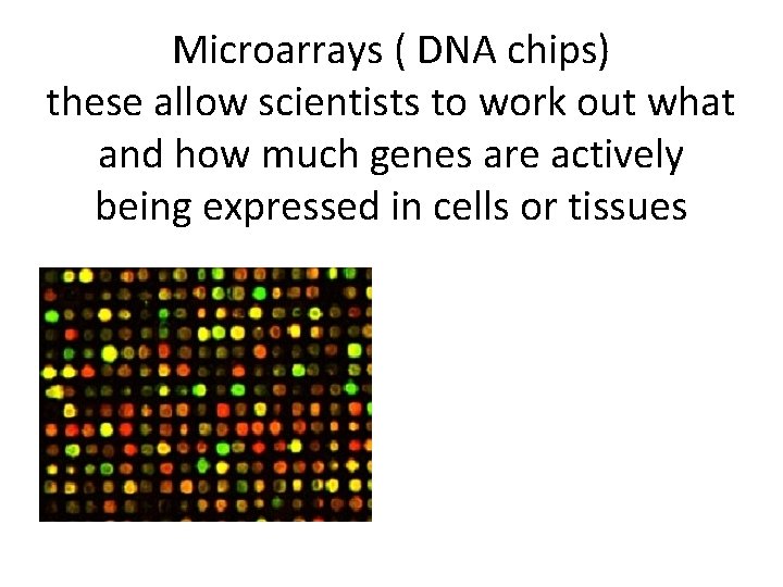 Microarrays ( DNA chips) these allow scientists to work out what and how much