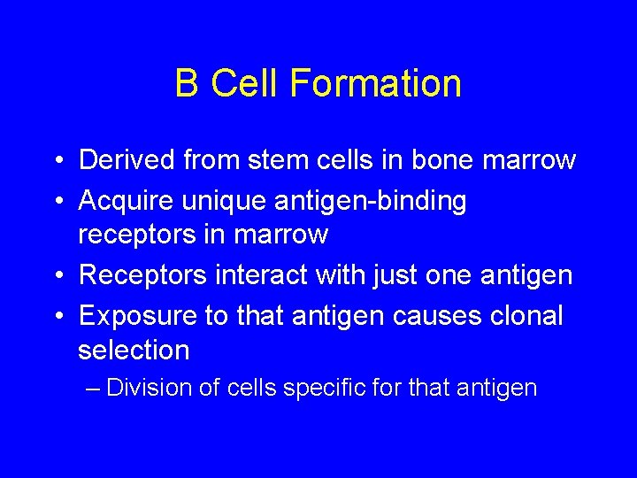B Cell Formation • Derived from stem cells in bone marrow • Acquire unique