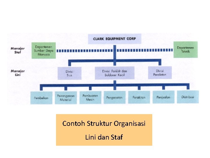 Contoh Struktur Organisasi Lini dan Staf 