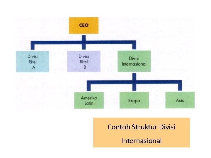 Contoh Struktur Divisi Internasional 