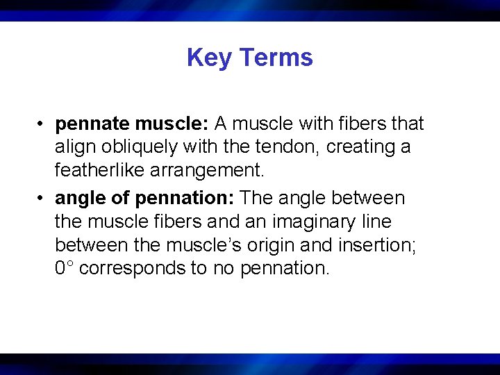 Key Terms • pennate muscle: A muscle with fibers that align obliquely with the