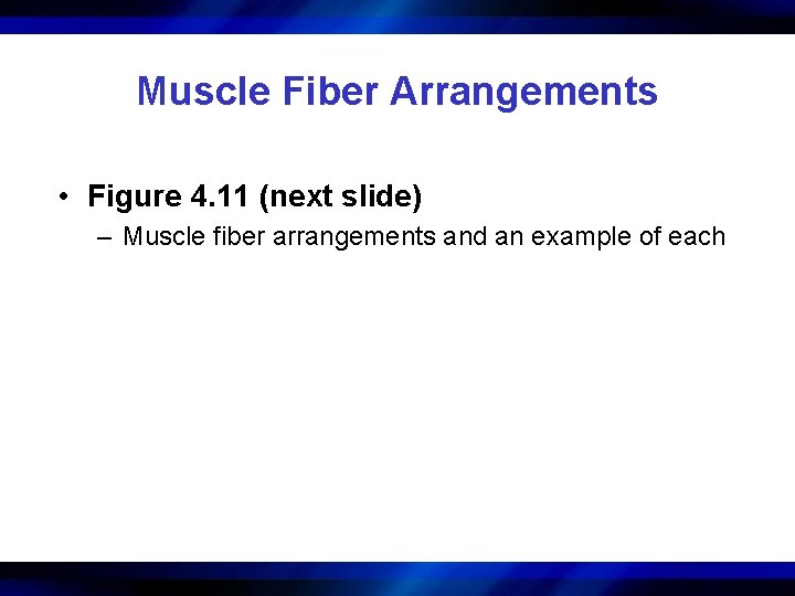 Muscle Fiber Arrangements • Figure 4. 11 (next slide) – Muscle fiber arrangements and