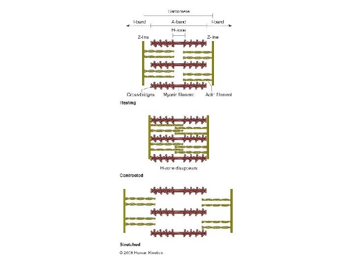 Figure 4. 12 