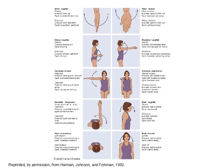 Figure 4. 16 Reprinted, by permission, from Harman, Johnson, and Frykman, 1992. 