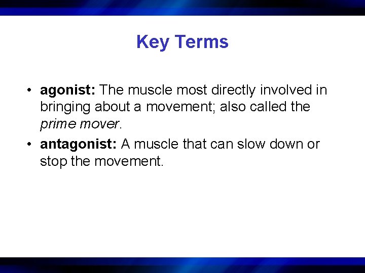 Key Terms • agonist: The muscle most directly involved in bringing about a movement;