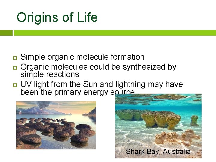 Origins of Life Simple organic molecule formation Organic molecules could be synthesized by simple