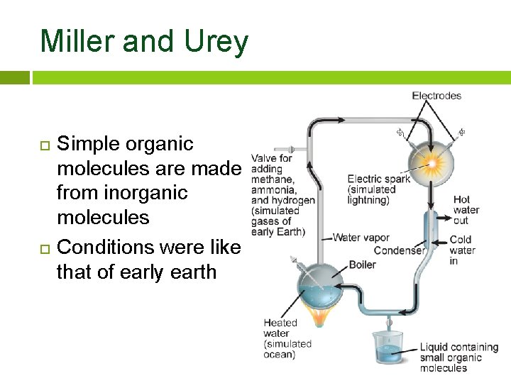 Miller and Urey Simple organic molecules are made from inorganic molecules Conditions were like