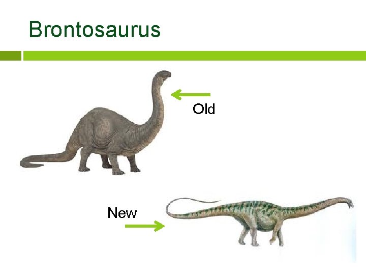 Brontosaurus Old New 
