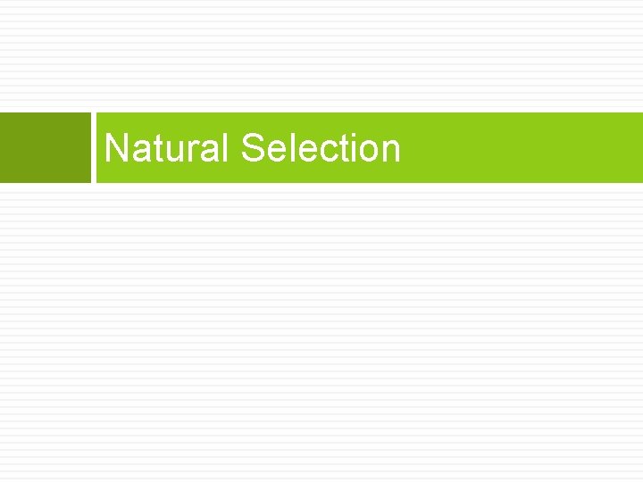 Natural Selection 