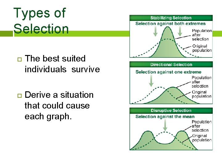 Types of Selection The best suited individuals survive Derive a situation that could cause